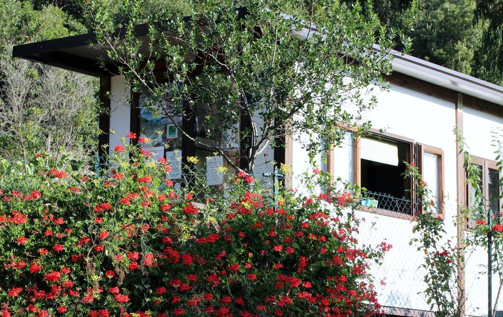 Elbadoc Camping Village Cavo Bagian luar foto