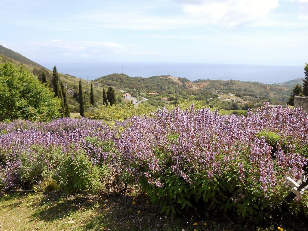 Elbadoc Camping Village Cavo Bagian luar foto